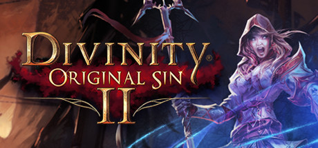 Divinity: Original Sin 2 , , ,  ()