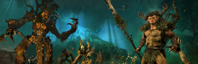   Total War: WARHAMMER - Realm of The Wood Elves (DLC)