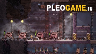 Oxygen Not Included v461084 [Spaced Out]   