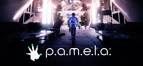 PAMELA v0.3.0.1 (2017)   