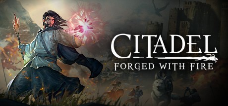 Citadel Forged with Fire (2017) PC -  