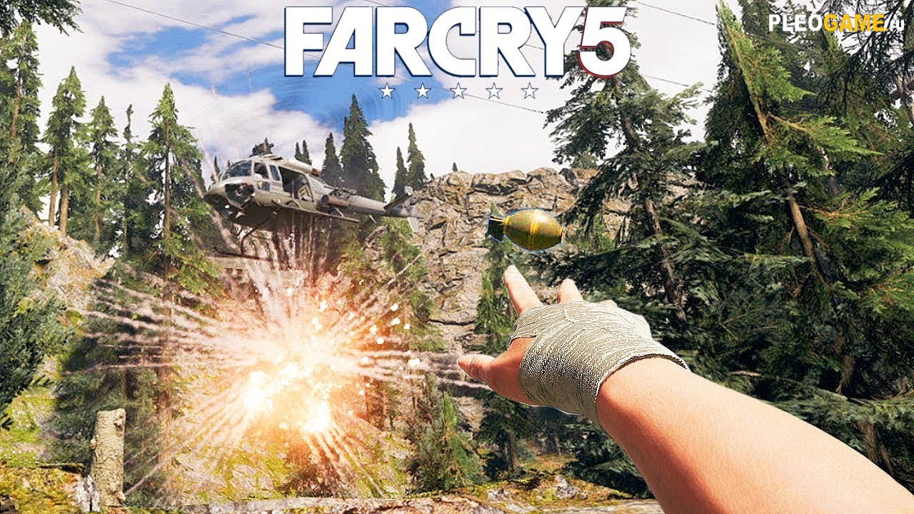   Far Cry 5   100% (CPY)