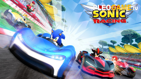  Team Sonic Racing (1.0) (+3)  FLiNG