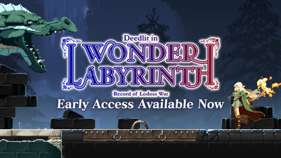 Record of Lodoss War-Deedlit in Wonder Labyrinth- ( )
