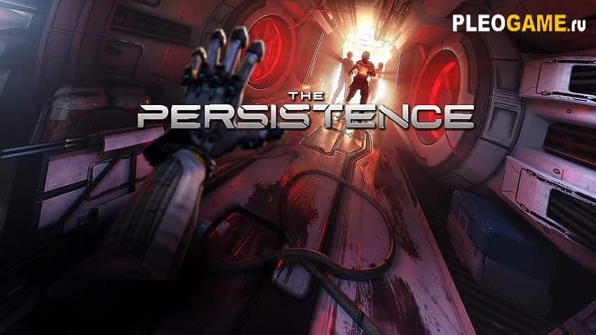   The Persistence