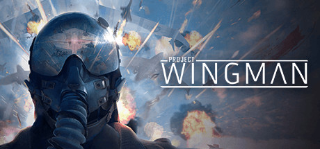 Project Wingman (2020)  