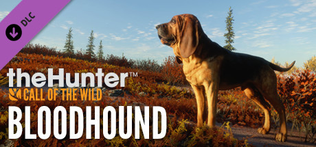 theHunter: Call of the Wild - Bloodhound (DLC)  