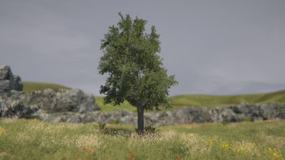 Tree Simulator 2022 ( )
