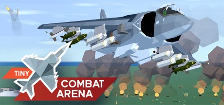 Tiny Combat Arena (2022)  